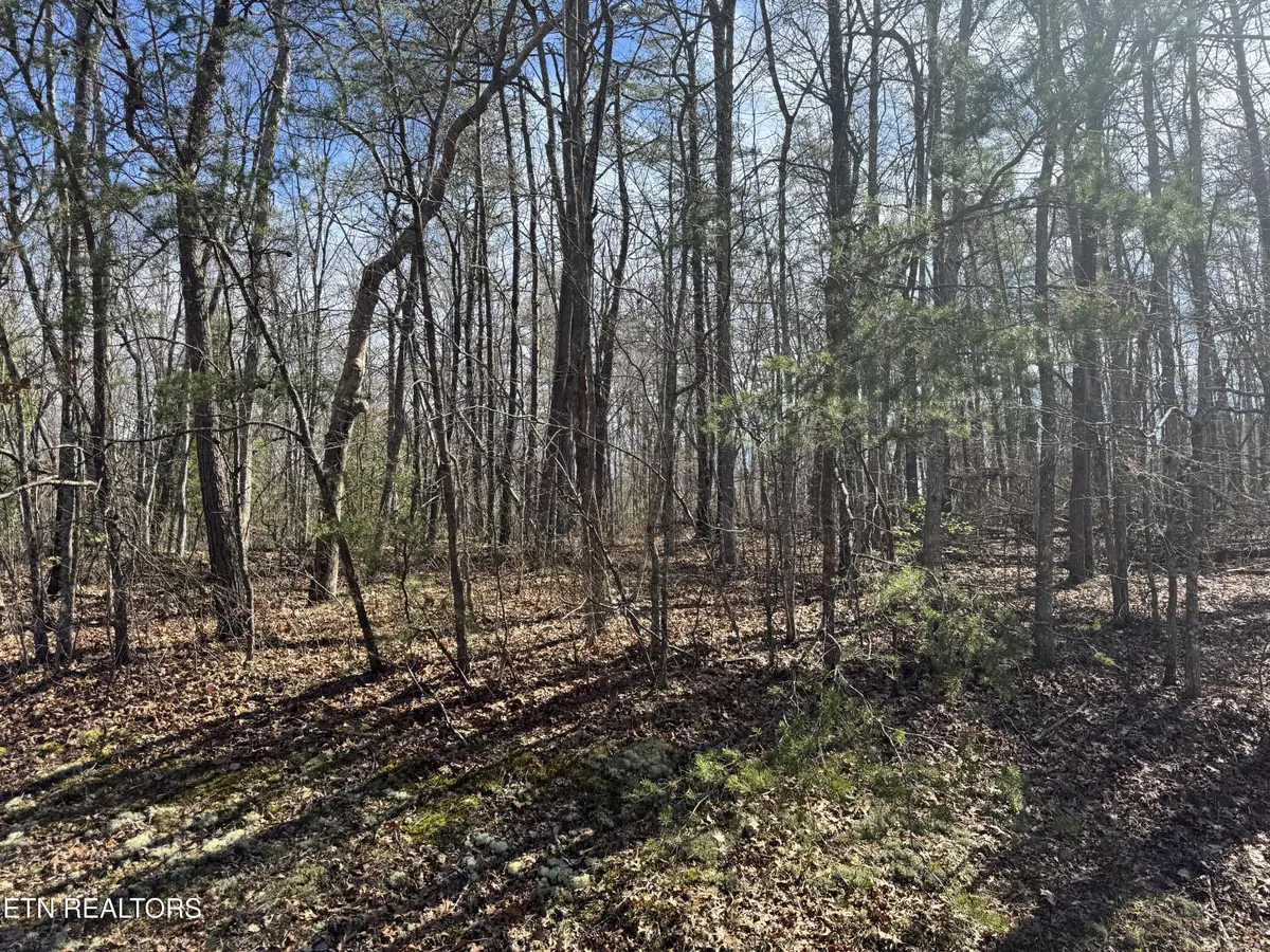 0 N Laurel Loop, Monterey, TN 38574