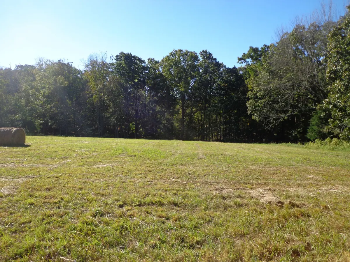 0 Halls Creek Road, Waverly, TN 37185