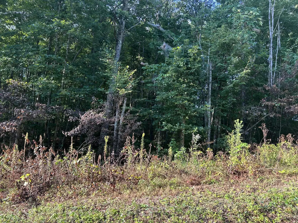 0 Panther Branch Road, Jamestown, TN 38556