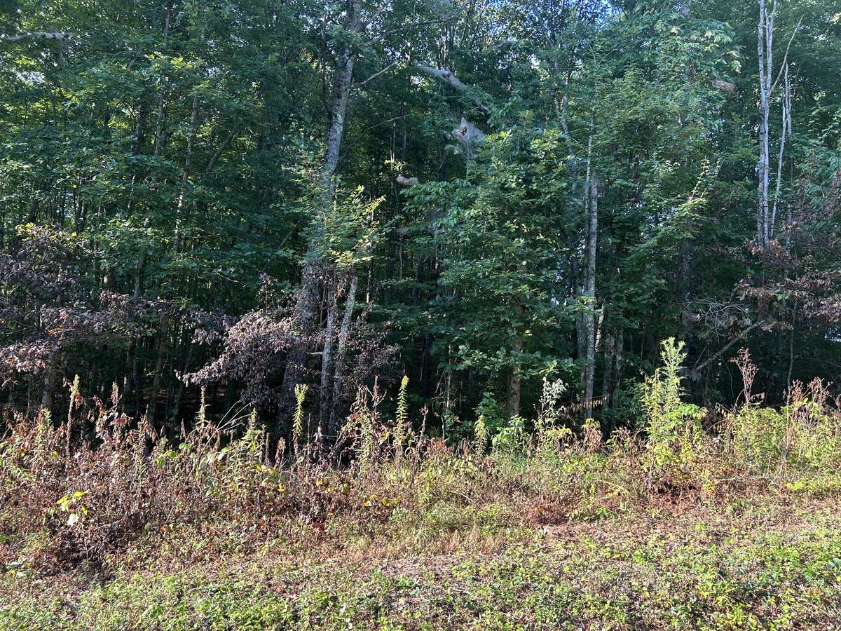 0 Panther Branch Road, Jamestown, TN 38556