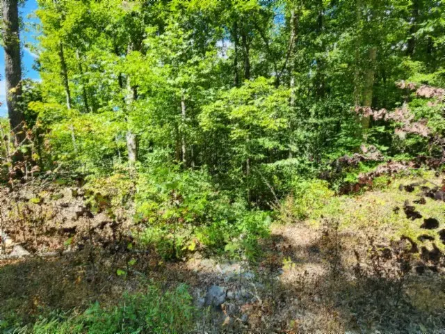 0 Tomahawk Rd, Jamestown, TN 38556