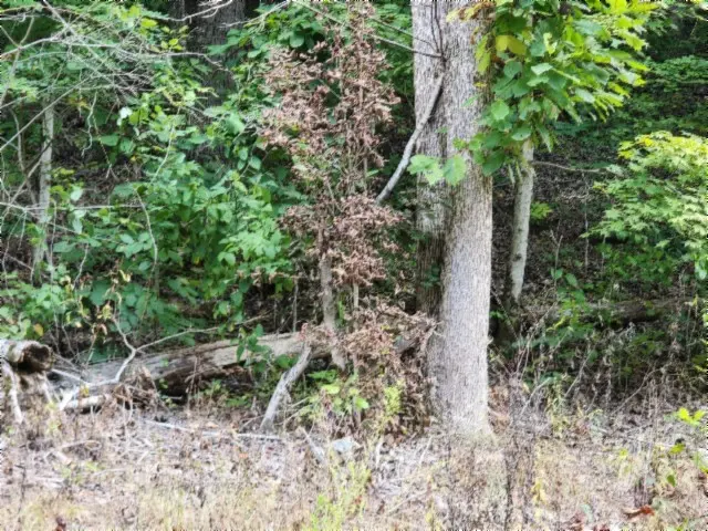0 Apache Rd, Jamestown, TN 38556