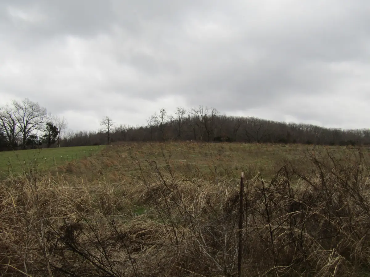 0 Anderson Rd, Byrdstown, TN 38549