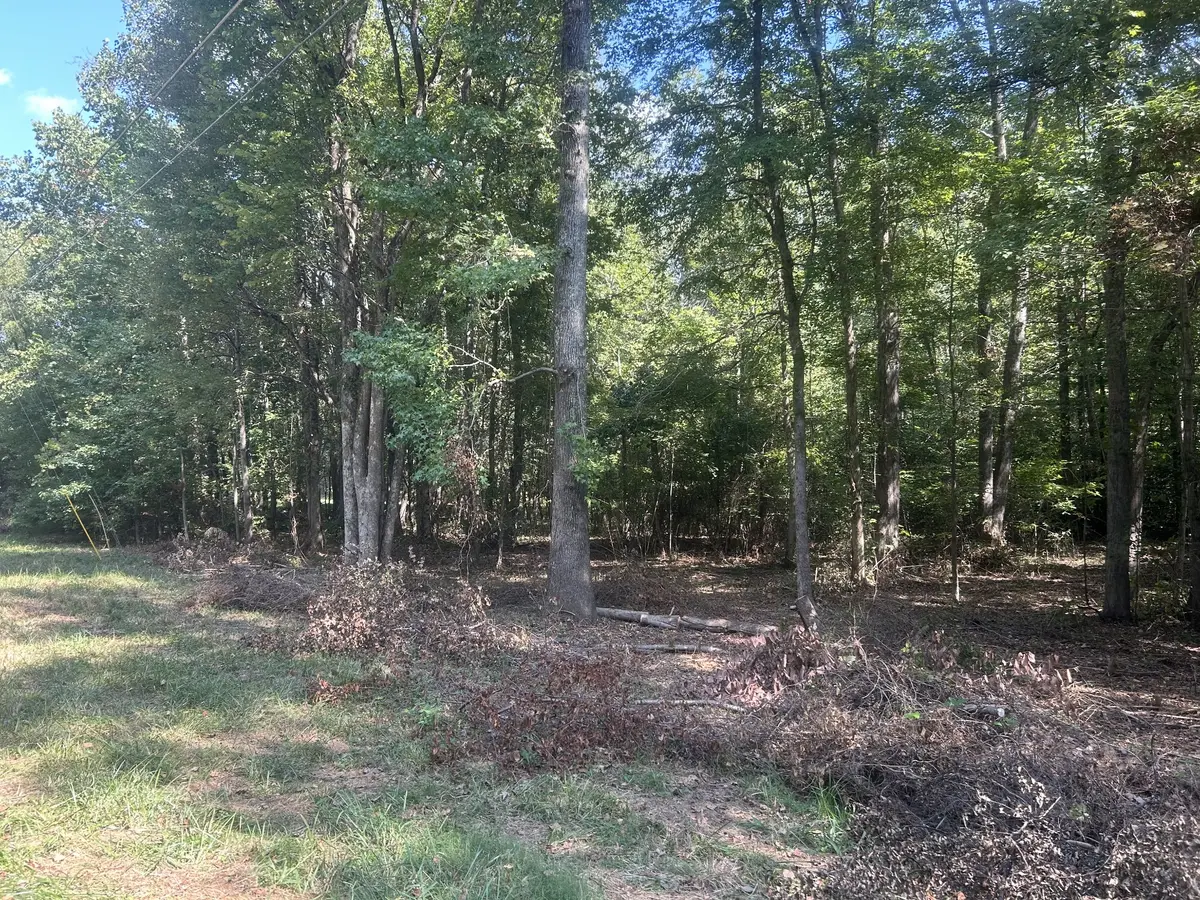 0 Asbury Rd, Camden, TN 38320