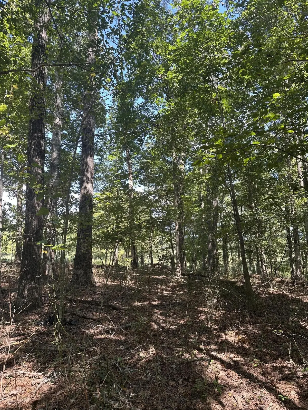 13 Hickory Hollow Sub Road, Tracy City, TN 37387