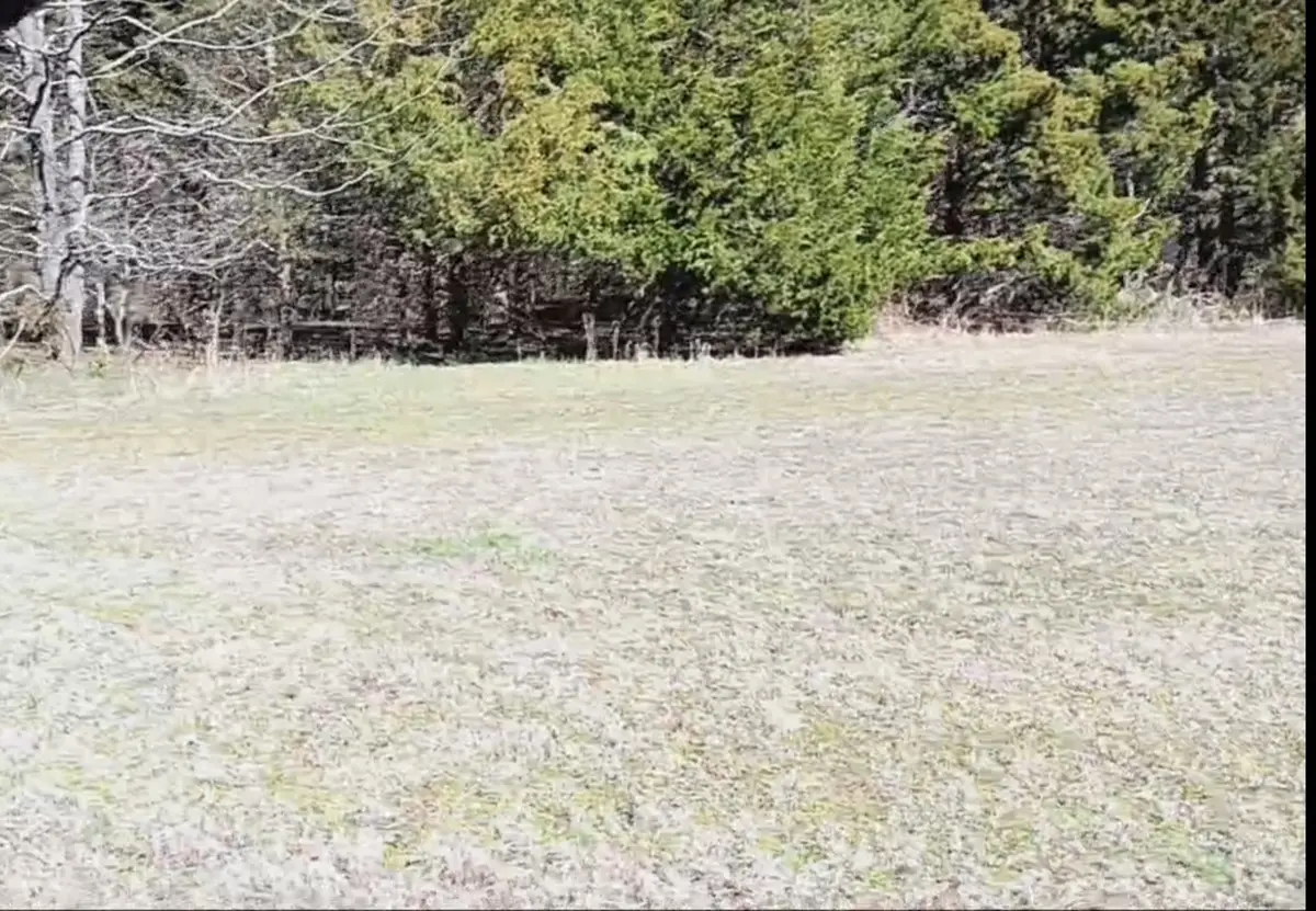 1285 Golf Dr, Saulsbury, TN 38067