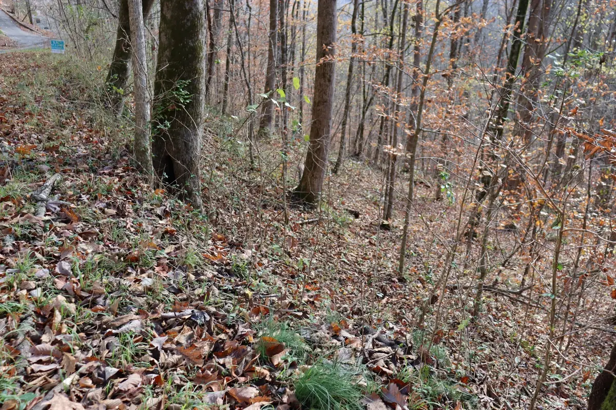 74 Cherokee Dr, Smithville, TN 37166
