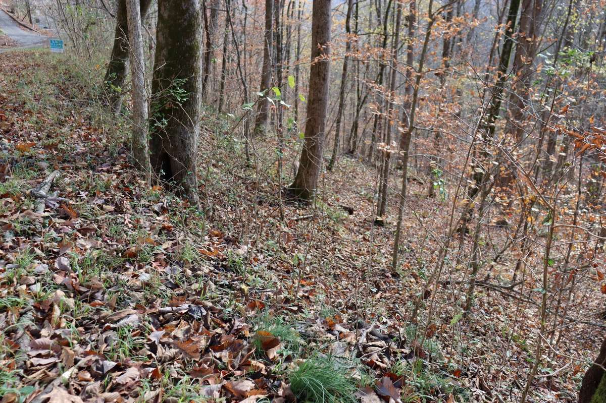 74 Cherokee Dr, Smithville, TN 37166