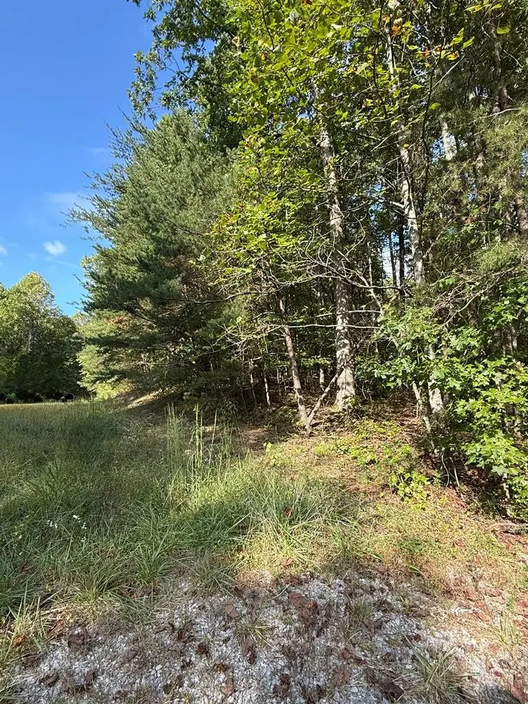 0 W Laurel Way, Monterey, TN 38574