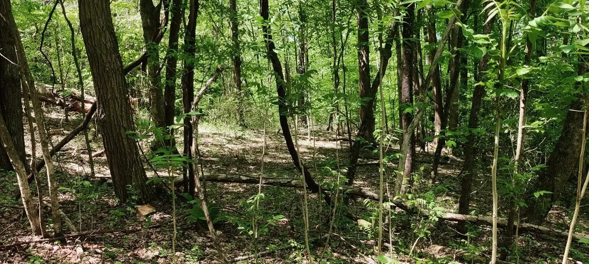 0 Coburntown Road, South Pittsburg, TN 37380