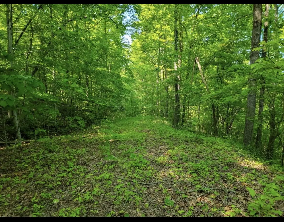 0 Shetland trace, Sparta, TN 38583