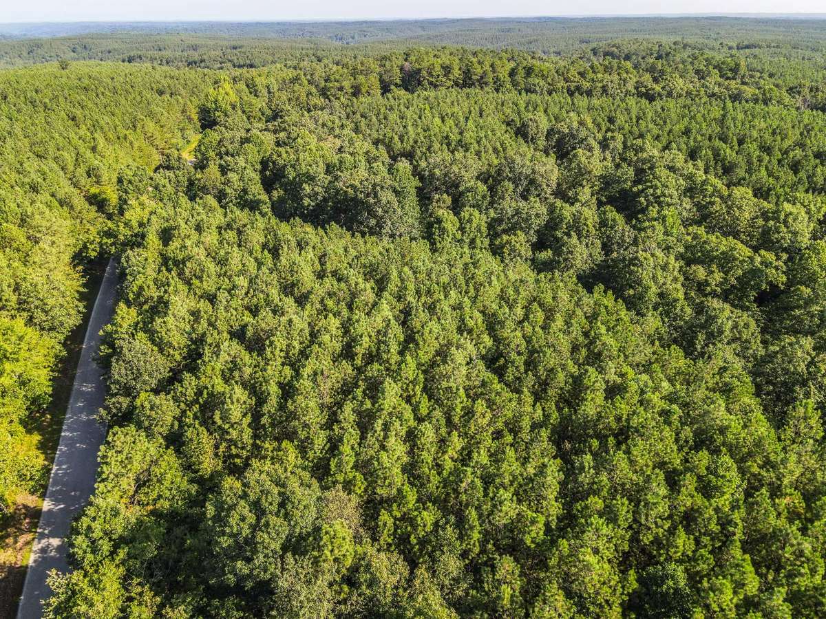 0 Brush Creek Rd, Hohenwald, TN 38462