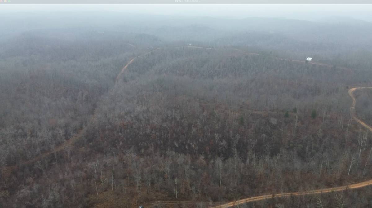 0 Rolling Hills Rd, Lobelville, TN 37097