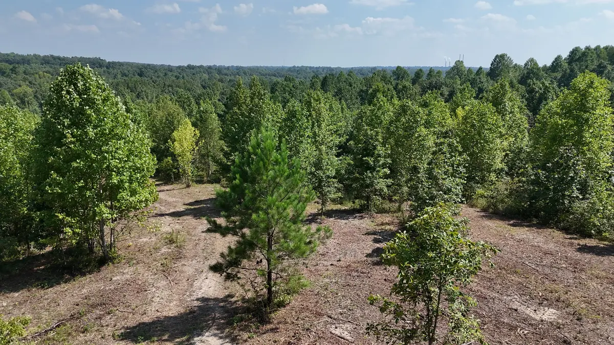0 Freedom Ridge, Indian Mound, TN 37079