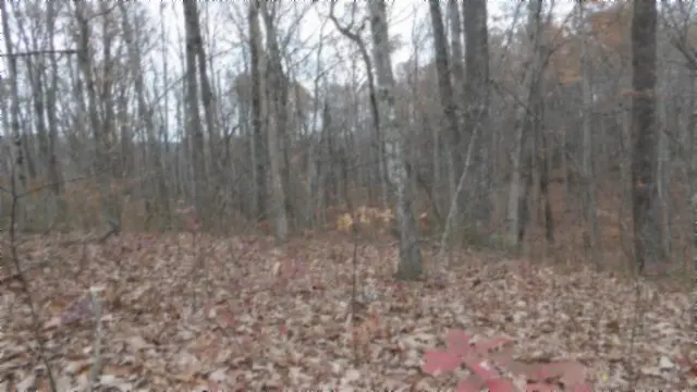 0 Cumberland Cove Rd, Monterey, TN 38574