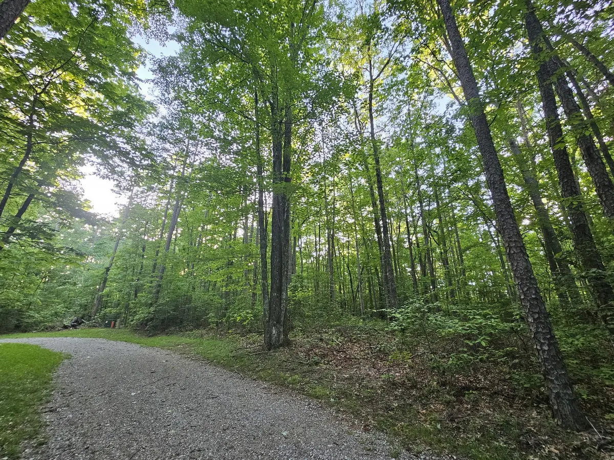 3 Woodfern Ln, Coalmont, TN 37313