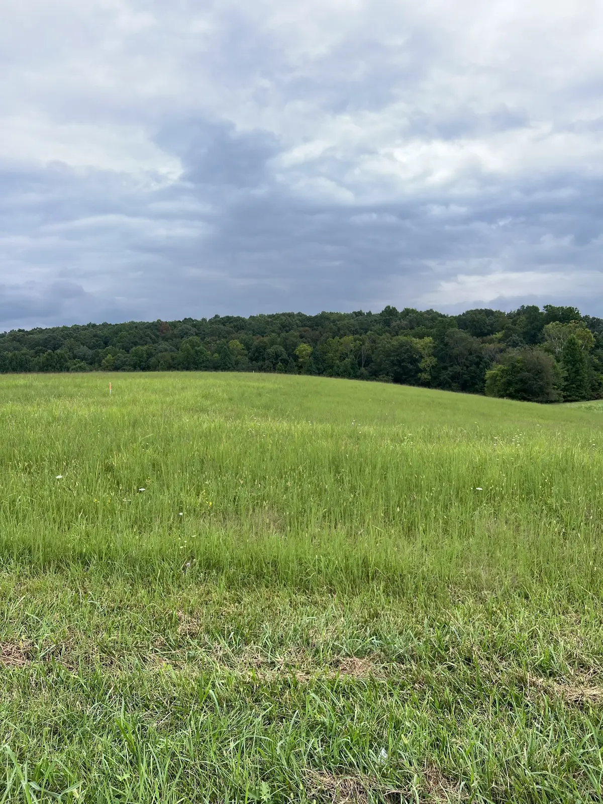 9 Highway 52, Red Boiling Springs, TN 37150