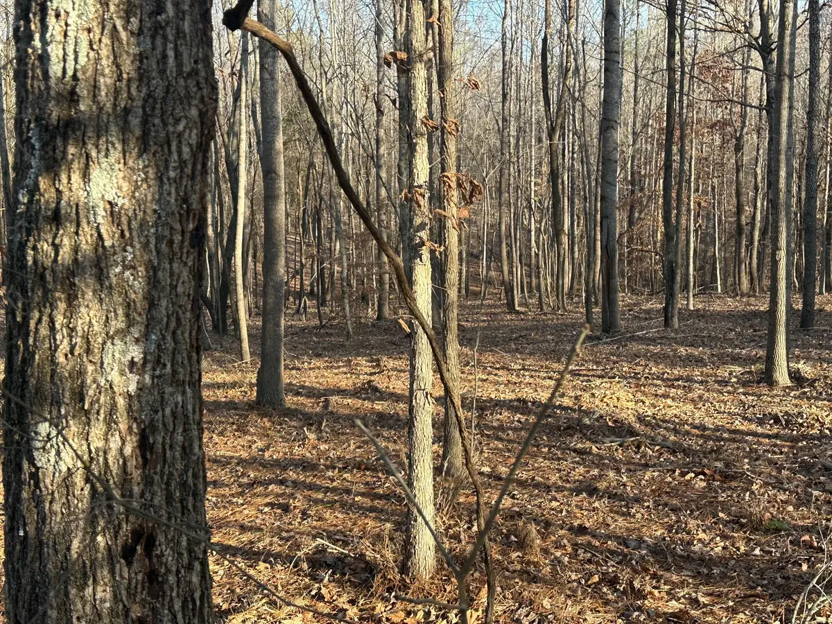 0 Lock B Road #N, Clarksville, TN 37043
