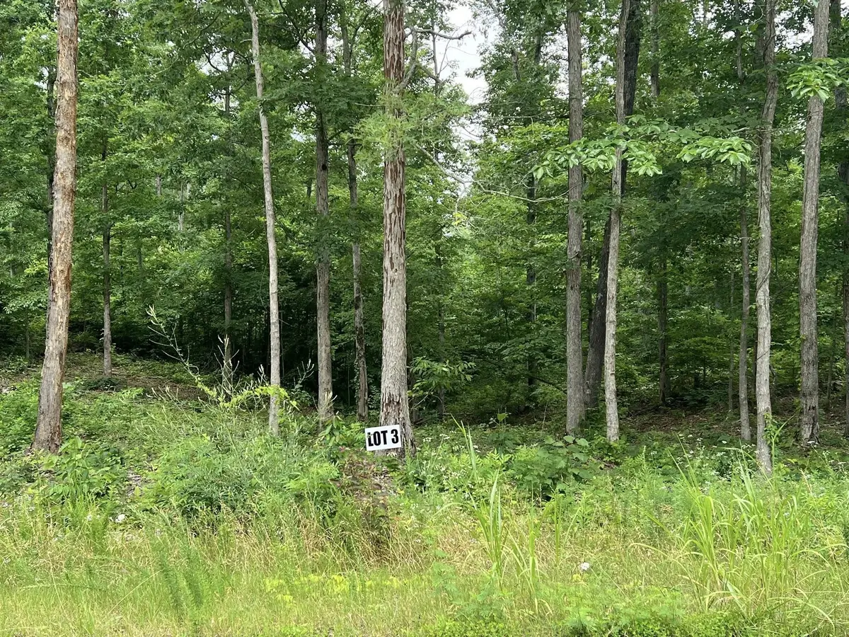 3 Slaughter Rd, Primm Springs, TN 38476