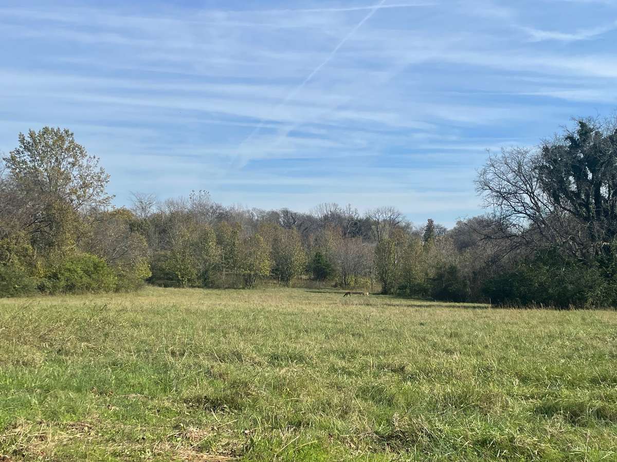 0 Blythe Ave, Gallatin, TN 37066