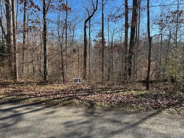 6 Slaughter Rd, Primm Springs, TN 38476