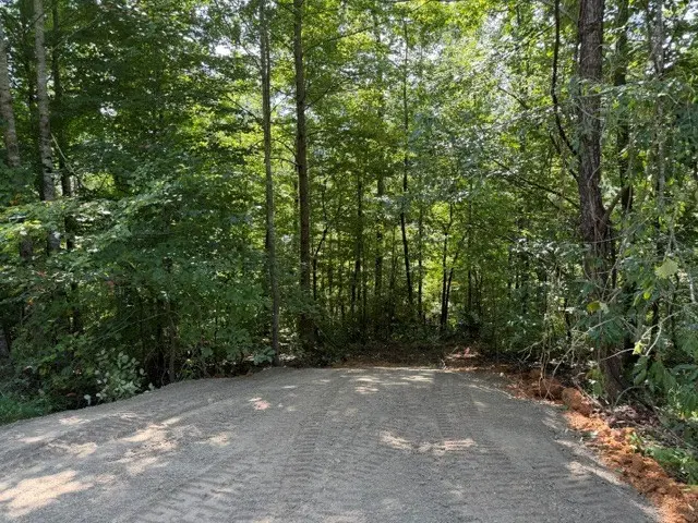 7 Slaughter Rd #N, Primm Springs, TN 38476