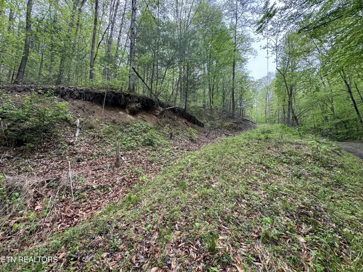 376 Summer House Hollow Rd, Del Rio, TN 37727