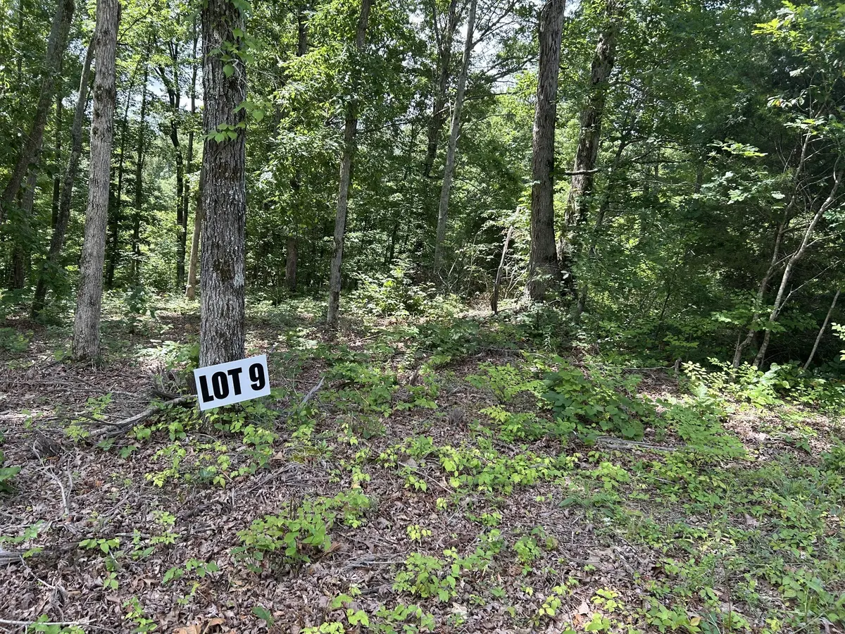 9 Slaughter Rd, Primm Springs, TN 38476