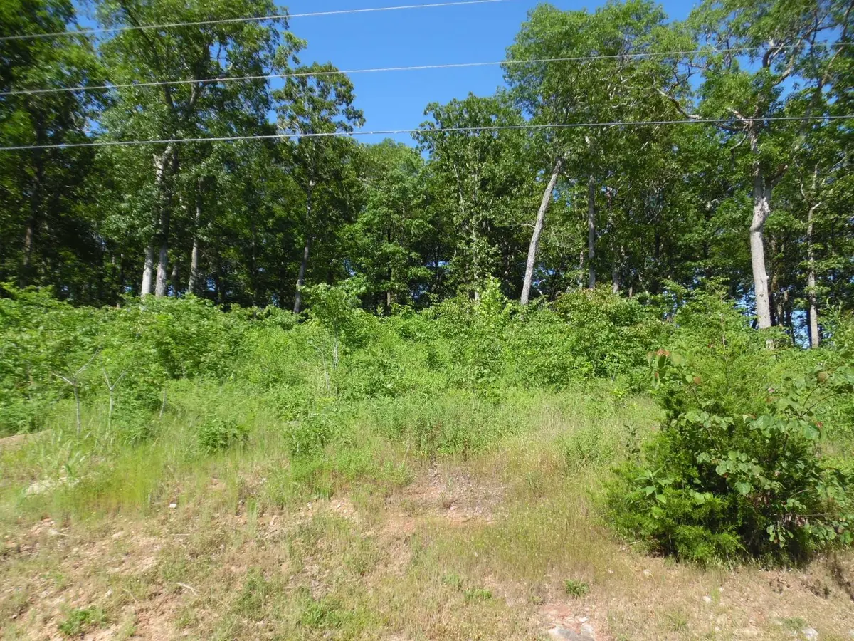 0 ADAM LOOP, Bath Springs, TN 38311