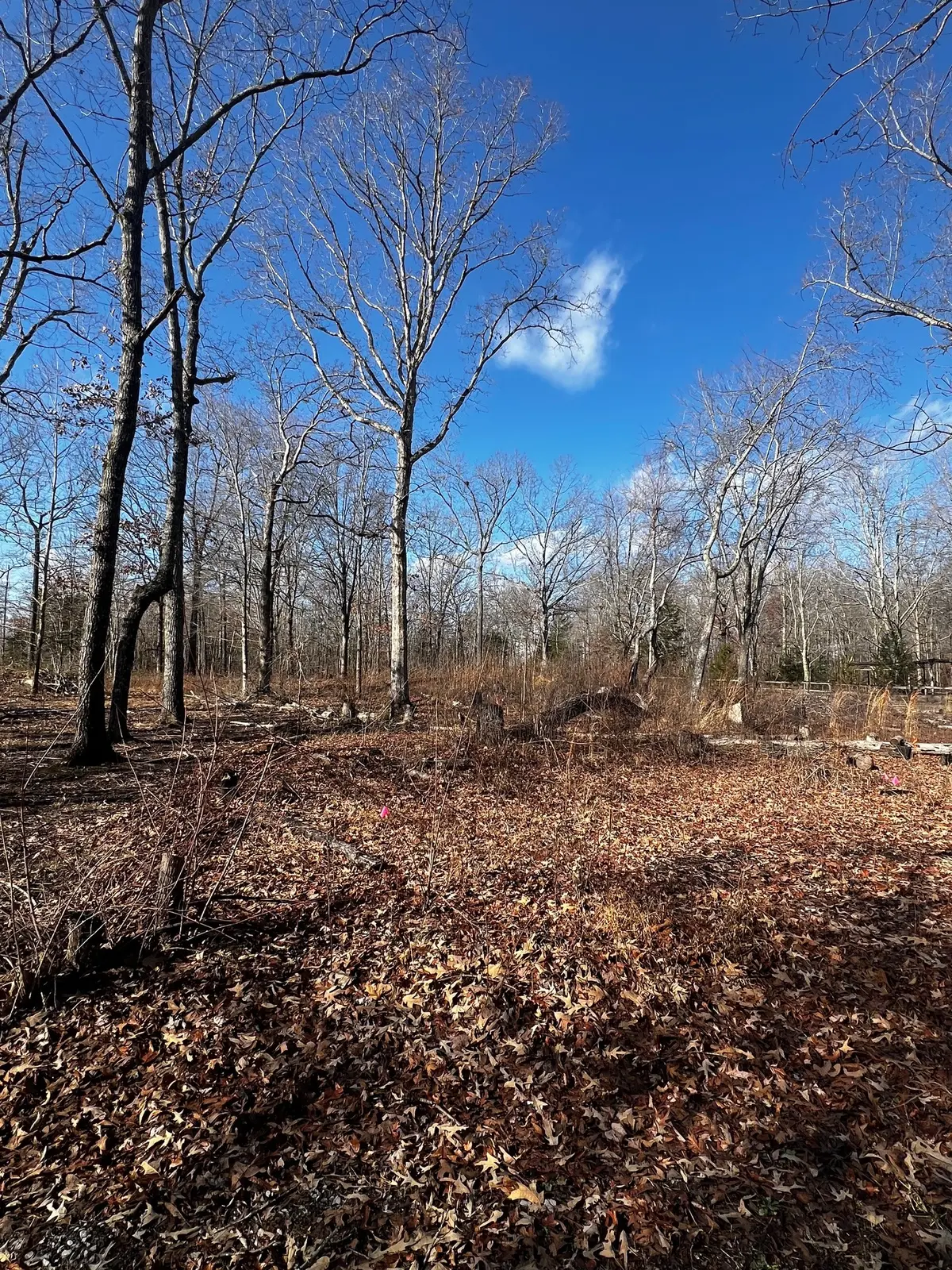 0 Bull Run, Beechgrove, TN 37018