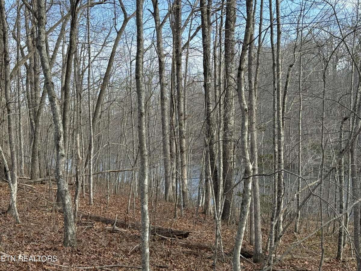 0 Crystal Point, Monterey, TN 38574