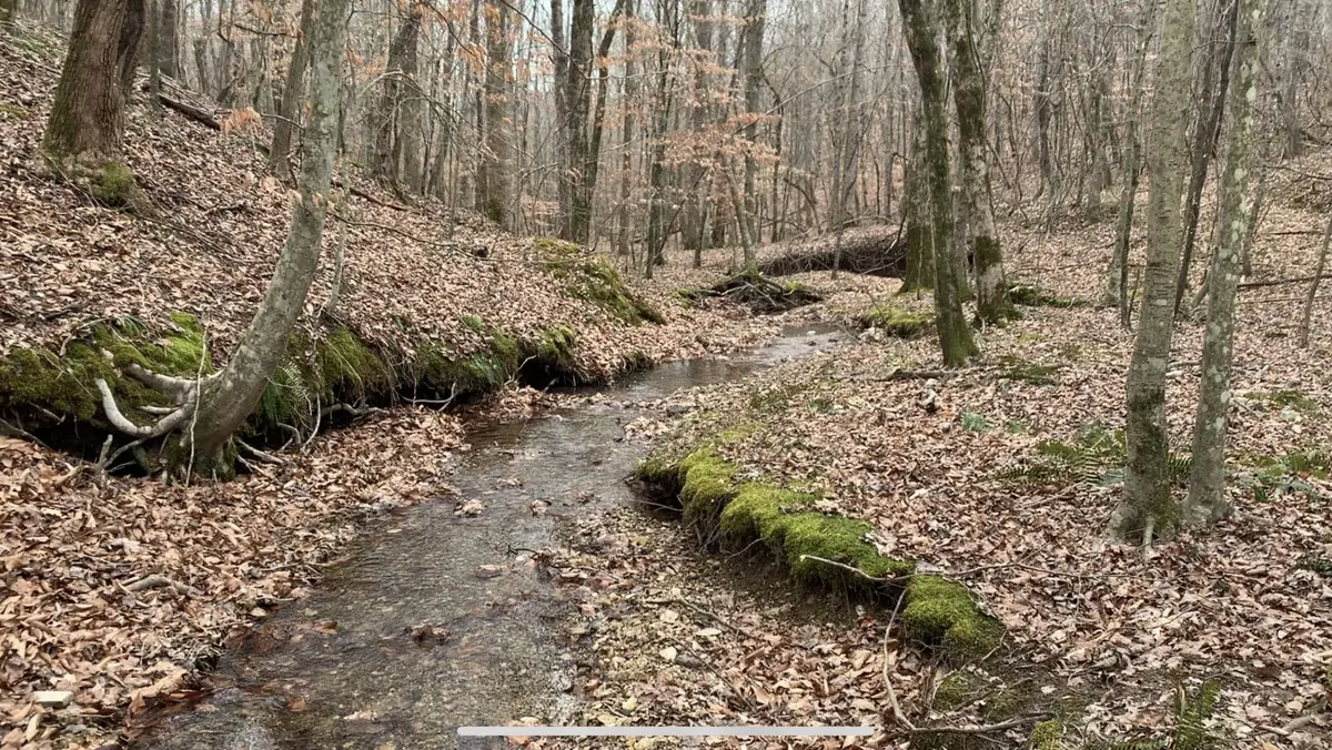 0 West Mackey Rd, Iron City, TN 38463