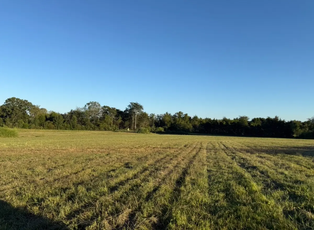 0 Minkslide Rd, Bell Buckle, TN 37020