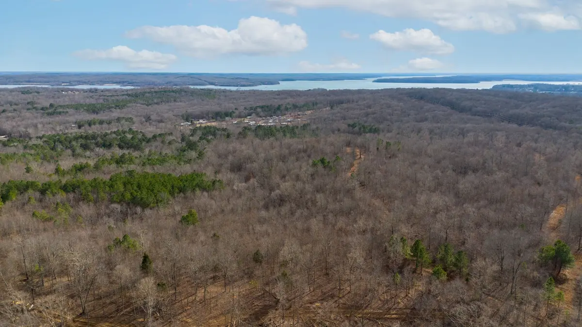 2 Olde Tennessee Trail, Springville, TN 38256