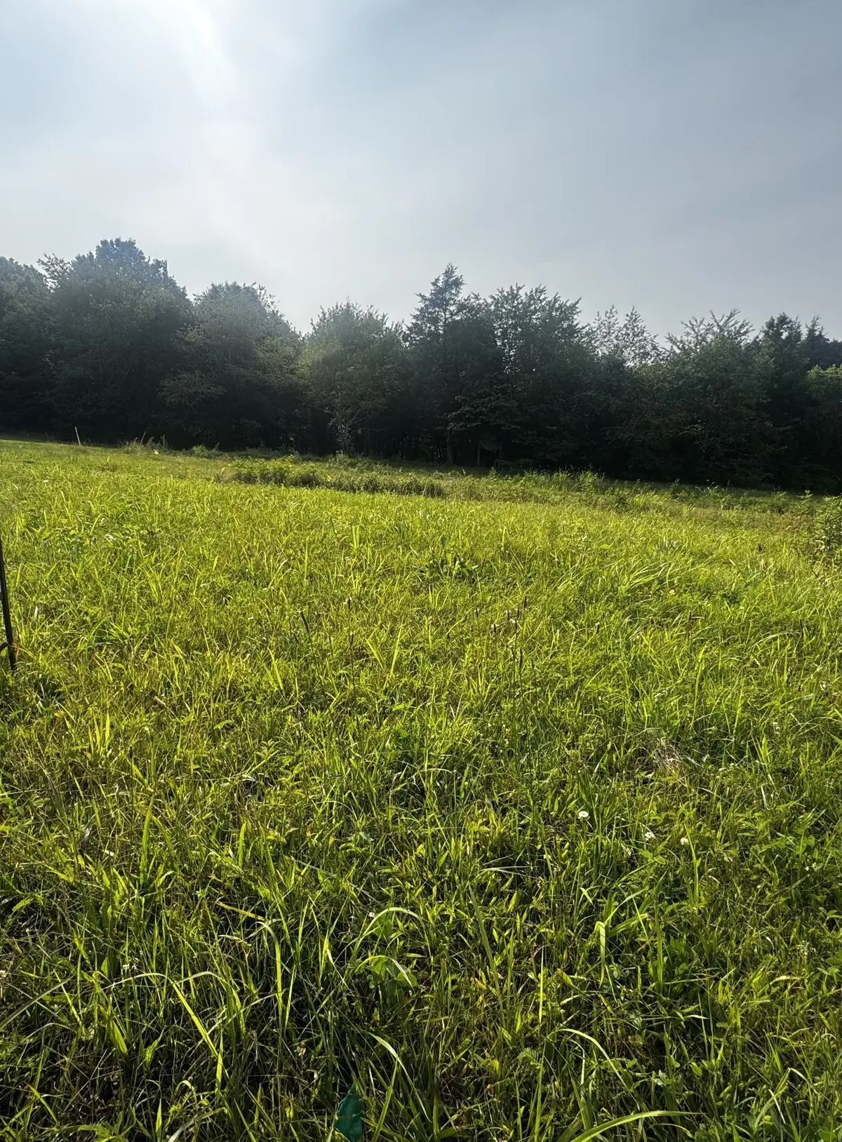 6481 Kelly Willis Rd, Greenbrier, TN 37073