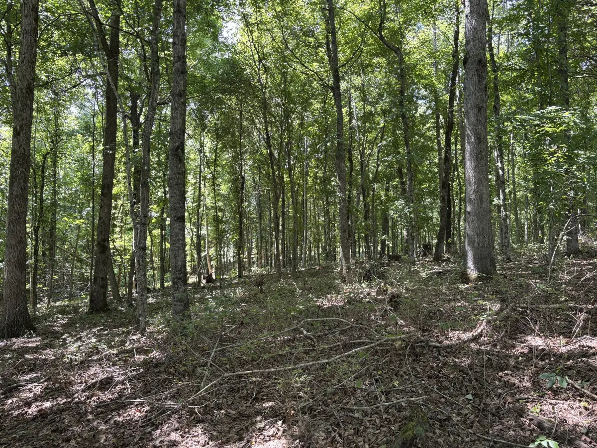0 Middle Lick Creek Rd, Lyles, TN 37098