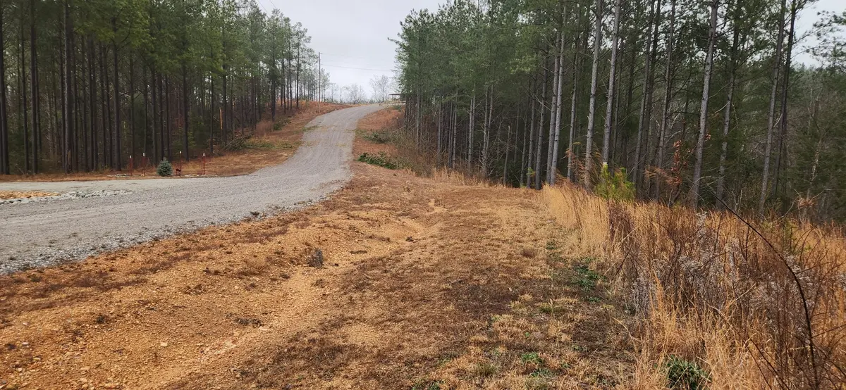 289 Center Ridge Dr, Linden, TN 37096