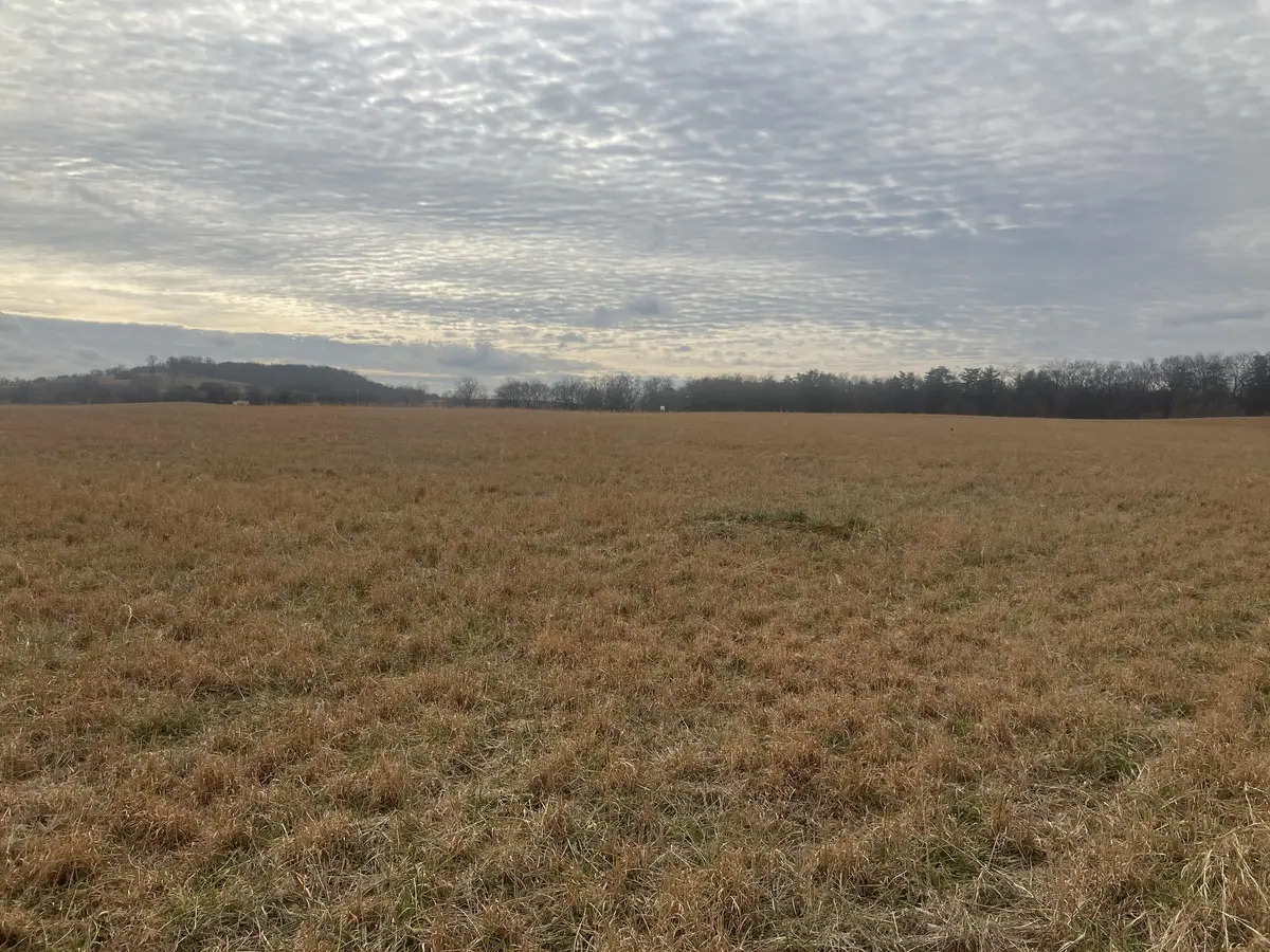 7 Southport RD, Mount Pleasant, TN 38474
