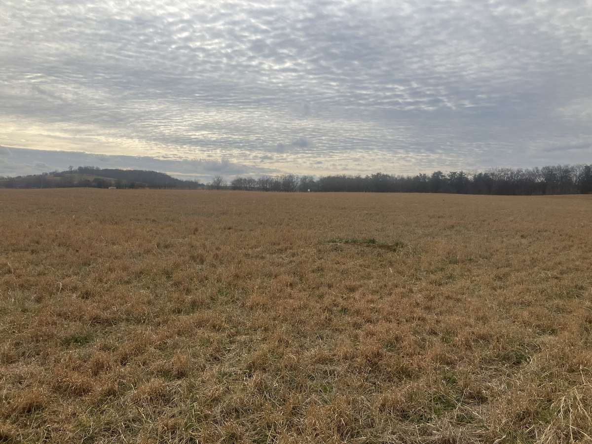 7 Southport RD, Mount Pleasant, TN 38474