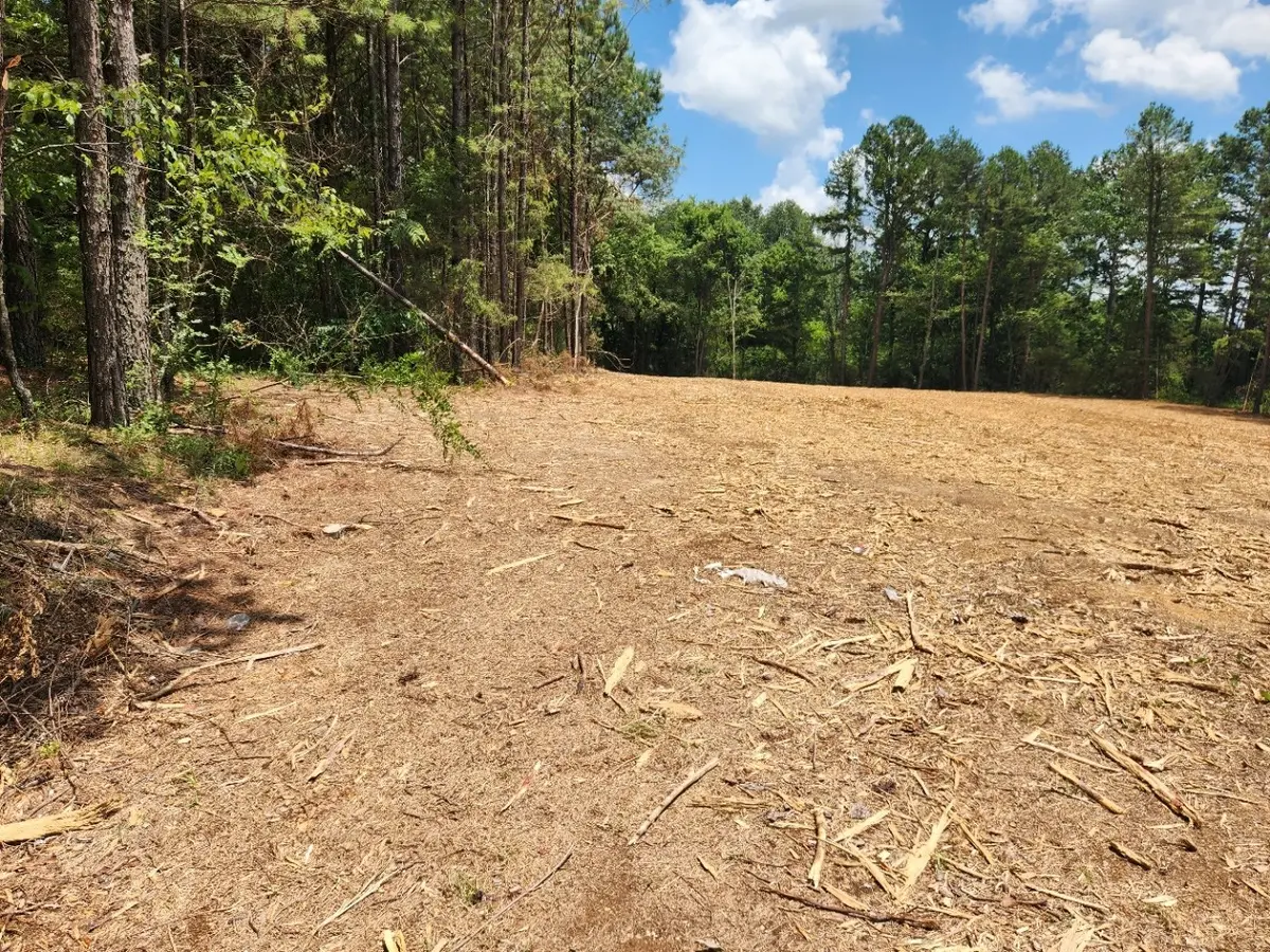 446 E Main St, Hohenwald, TN 38462