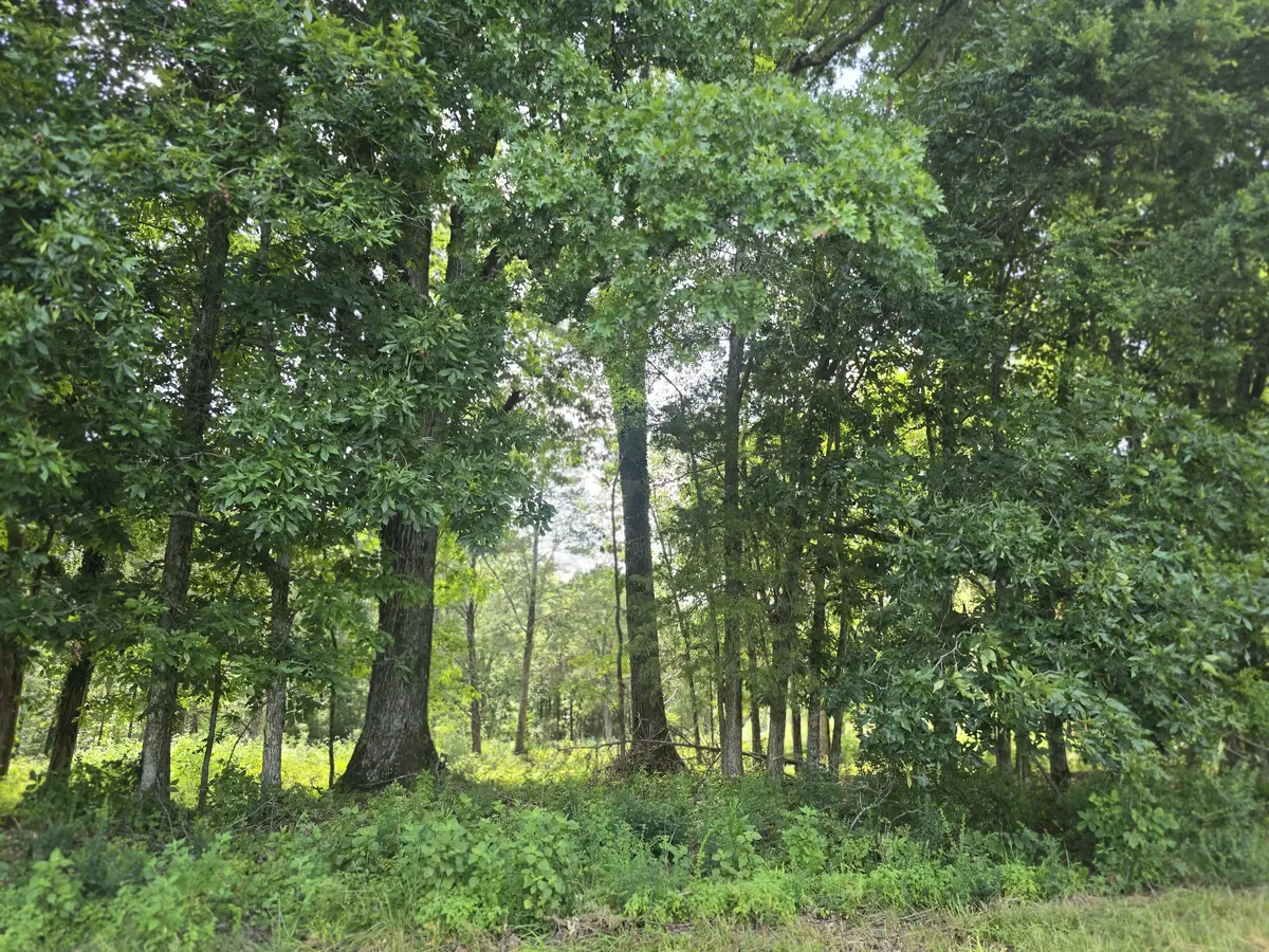 0 Nashville Hwy, Lewisburg, TN 37091