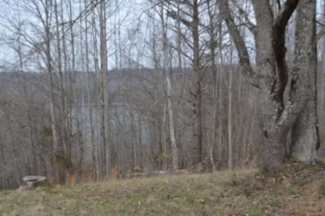 0 Fox Hill Road, Baxter, TN 38544