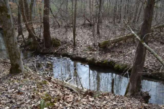 0 Boles Road, Hilham, TN 38568