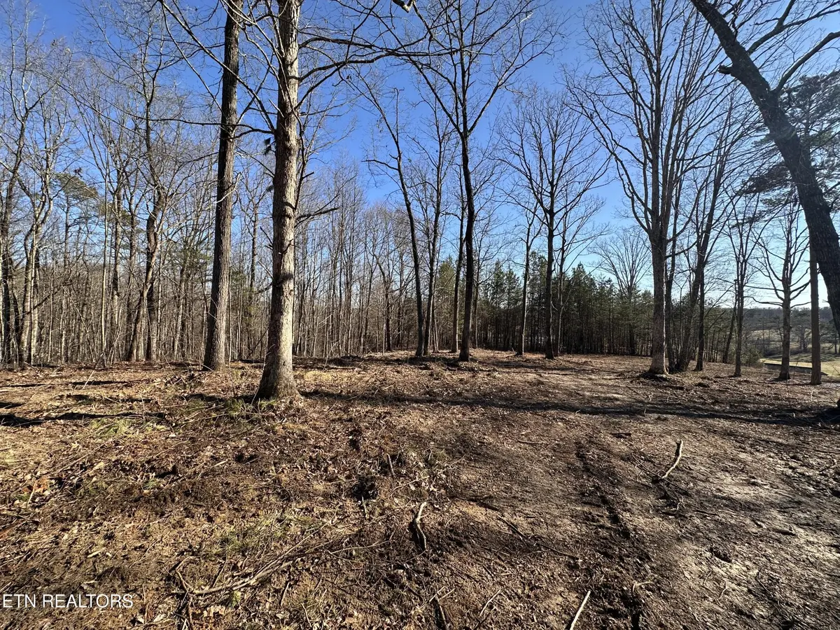 1453 Pickett Park Hwy, Jamestown, TN 38556