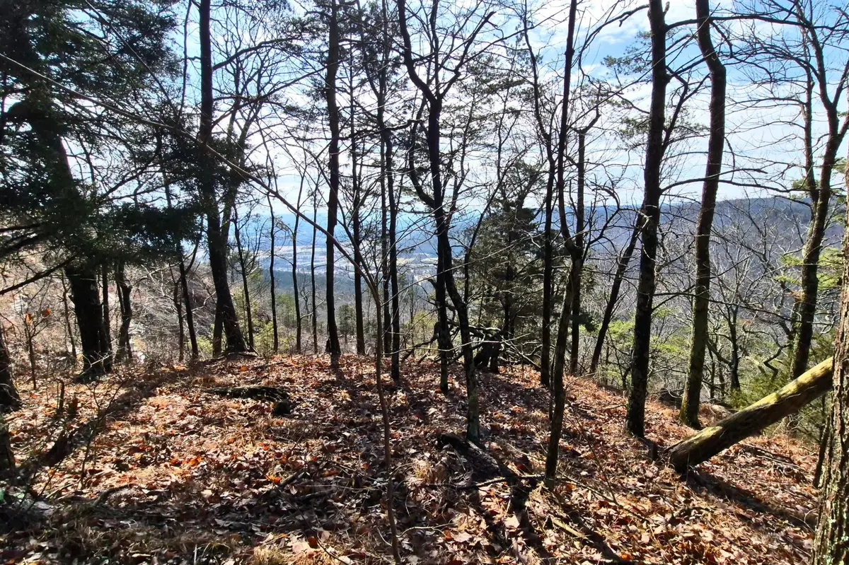 9 Lodge Point Road, South Pittsburg, TN 37380