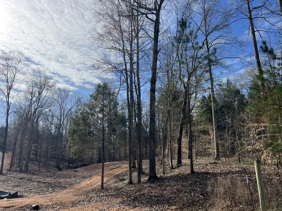 0 Excalibur Trail, Cedar Grove, TN 38321
