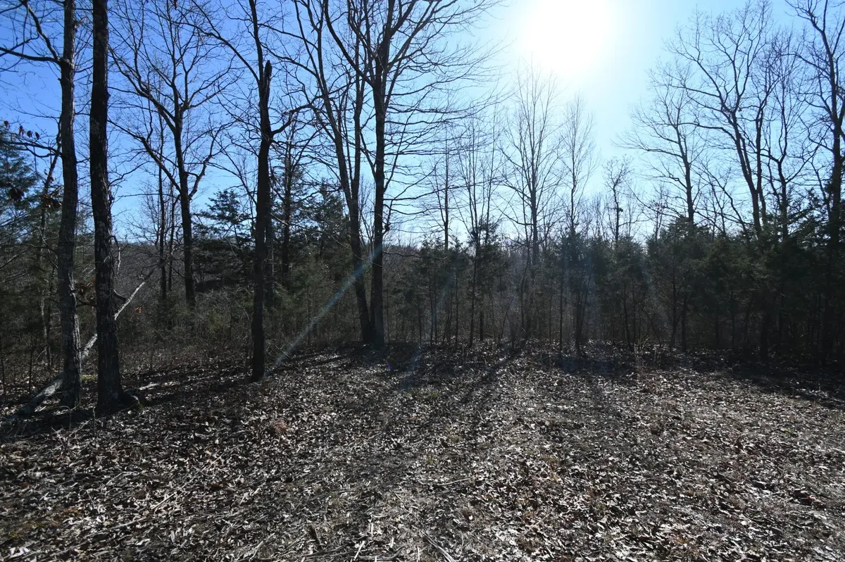 143 Wyatt Ln, Linden, TN 37096