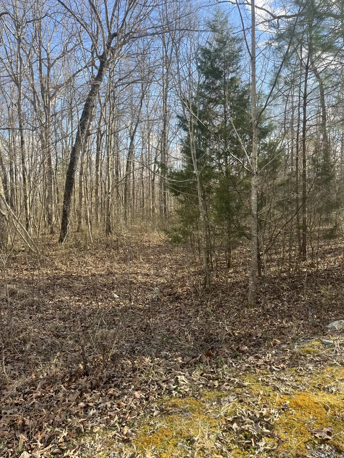0 Boyton Valley Rd, Manchester, TN 37355