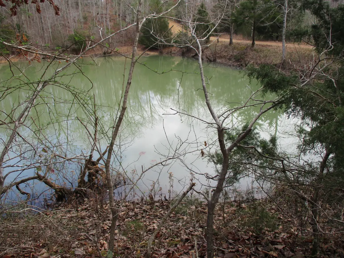 0 Split Lake Drive, Nunnelly, TN 37137