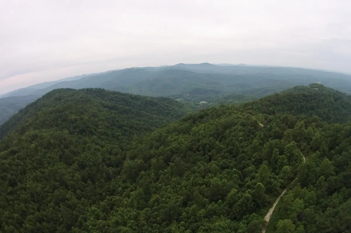 1 Straight Fork Road, Huntsville, TN 37756